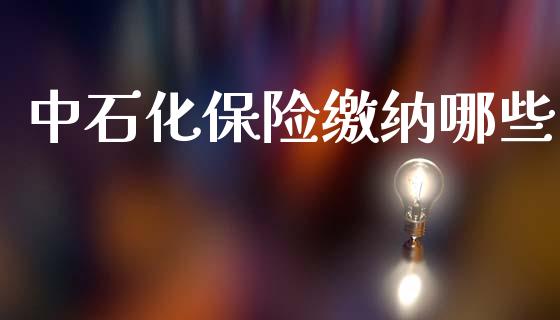 中石化保险缴纳哪些_https://www.gongyisiwang.com_原油期货_第1张