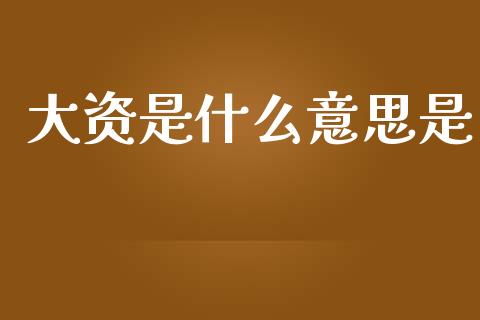 大资是什么意思是_https://www.gongyisiwang.com_原油期货_第1张