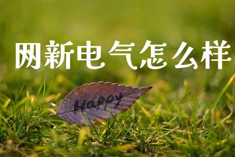 网新电气怎么样_https://www.gongyisiwang.com_期货公司手续费排名_第1张