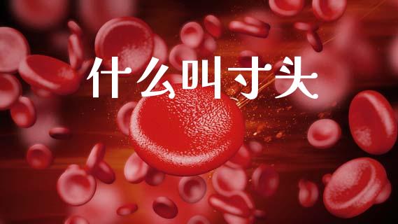什么叫寸头_https://www.gongyisiwang.com_股指期货交易手续费_第1张