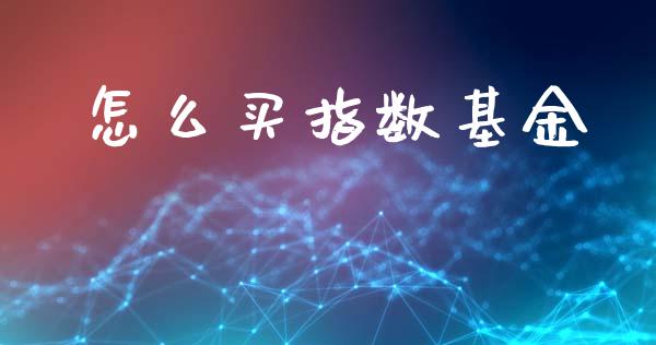 怎么买指数基金_https://www.gongyisiwang.com_原油期货_第1张