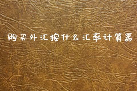 购买外汇按什么汇率计算器_https://www.gongyisiwang.com_广发期货手续费_第1张