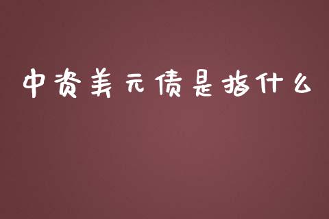 中资美元债是指什么_https://www.gongyisiwang.com_期货公司手续费排名_第1张