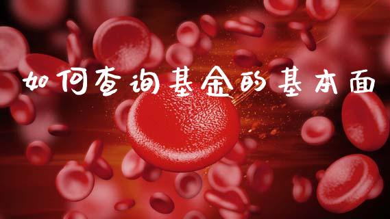 如何查询基金的基本面_https://www.gongyisiwang.com_股指期货_第1张