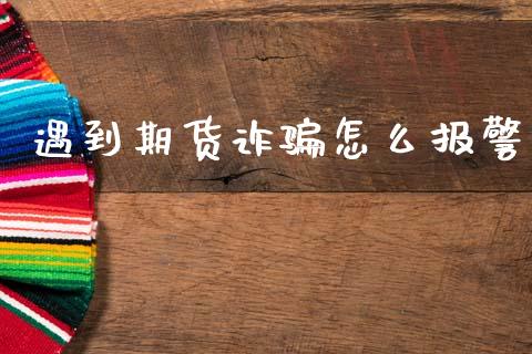 遇到期货诈骗怎么报警_https://www.gongyisiwang.com_期货公司手续费排名_第1张
