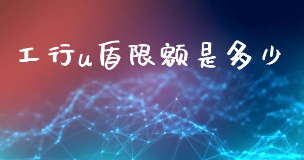 工行u盾限额是多少_https://www.gongyisiwang.com_焦炭期货手续费_第1张