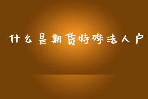 什么是期货特殊法人户_https://www.gongyisiwang.com_股指期货交易手续费_第1张
