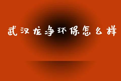 武汉龙净环保怎么样_https://www.gongyisiwang.com_期货公司手续费排名_第1张