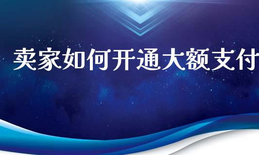 卖家如何开通大额支付_https://www.gongyisiwang.com_股指期货_第1张