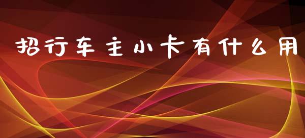 招行车主小卡有什么用_https://www.gongyisiwang.com_广发期货手续费_第1张