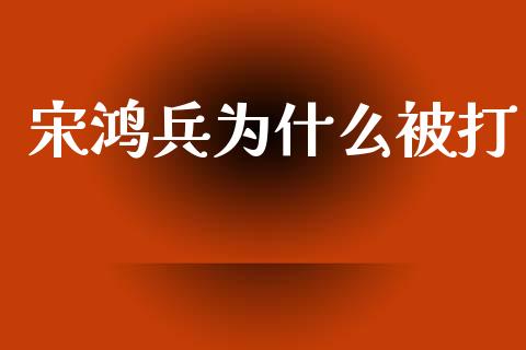 宋鸿兵为什么被打_https://www.gongyisiwang.com_原油期货_第1张