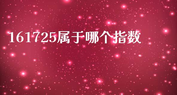 161725属于哪个指数_https://www.gongyisiwang.com_广发期货手续费_第1张