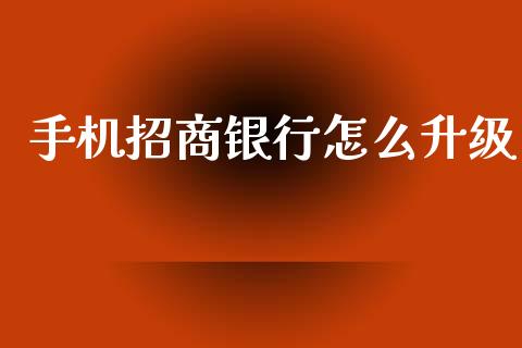 手机招商银行怎么升级_https://www.gongyisiwang.com_恒指期货_第1张