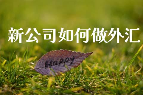 新公司如何做外汇_https://www.gongyisiwang.com_股指期货交易手续费_第1张