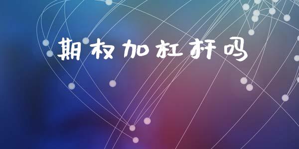 期权加杠杆吗_https://www.gongyisiwang.com_股指期货交易手续费_第1张