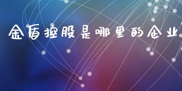 金盾控股是哪里的企业_https://www.gongyisiwang.com_广发期货手续费_第1张