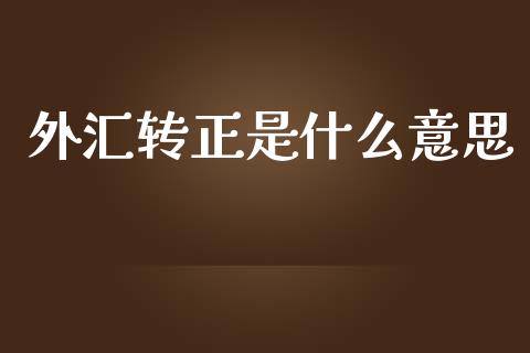 外汇转正是什么意思_https://www.gongyisiwang.com_股指期货交易手续费_第1张