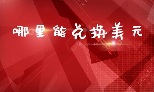 哪里能兑换美元_https://www.gongyisiwang.com_股指期货交易手续费_第1张