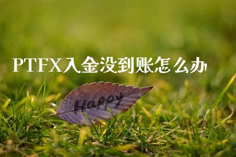 PTFX入金没到账怎么办_https://www.gongyisiwang.com_恒指期货_第1张