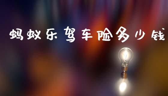 蚂蚁乐驾车险多少钱_https://www.gongyisiwang.com_恒指期货_第1张