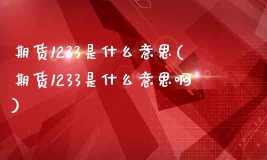 期货1233是什么意思(期货1233是什么意思啊)_https://www.gongyisiwang.com_股指期货交易手续费_第1张