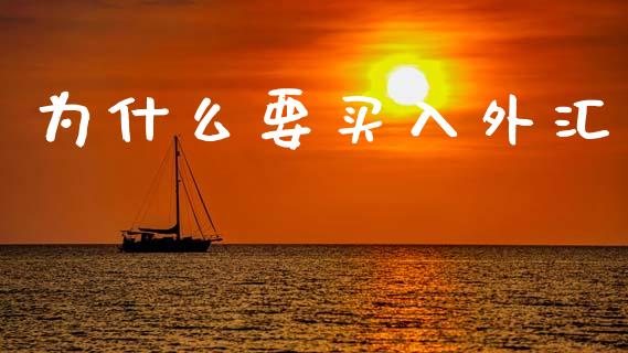 为什么要买入外汇_https://www.gongyisiwang.com_道指_第1张