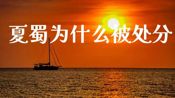 夏蜀为什么被处分_https://www.gongyisiwang.com_期货公司手续费排名_第1张