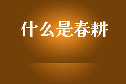 什么是春耕_https://www.gongyisiwang.com_股指期货交易手续费_第1张