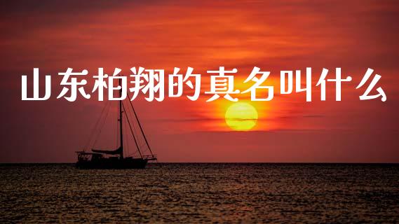 山东柏翔的真名叫什么_https://www.gongyisiwang.com_原油期货_第1张
