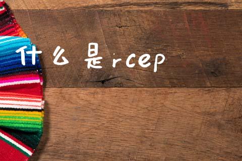 什么是rcep_https://www.gongyisiwang.com_期货公司手续费排名_第1张