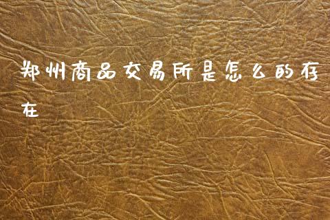 郑州商品交易所是怎么的存在_https://www.gongyisiwang.com_股指期货交易手续费_第1张
