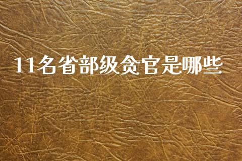 11名省部级贪官是哪些_https://www.gongyisiwang.com_股指期货交易手续费_第1张