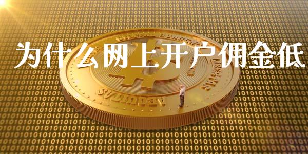 为什么网上开户佣金低_https://www.gongyisiwang.com_广发期货手续费_第1张