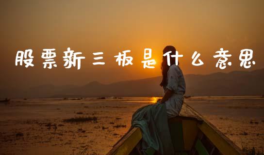 股票新三板是什么意思_https://www.gongyisiwang.com_期货公司手续费排名_第1张