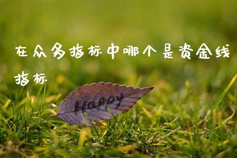在众多指标中哪个是资金线指标_https://www.gongyisiwang.com_股指期货交易手续费_第1张