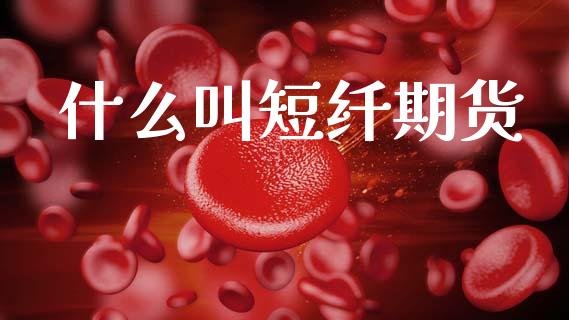 什么叫短纤期货_https://www.gongyisiwang.com_股指期货交易手续费_第1张