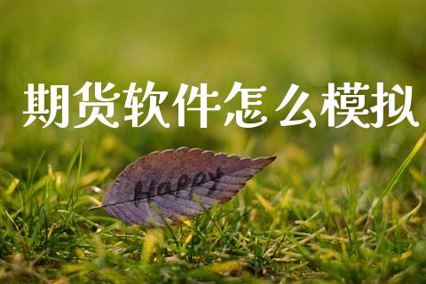 期货软件怎么模拟_https://www.gongyisiwang.com_焦炭期货手续费_第1张