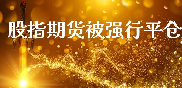 股指期货被强行平仓_https://www.gongyisiwang.com_广发期货手续费_第1张