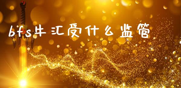 bfs牛汇受什么监管_https://www.gongyisiwang.com_原油期货_第1张