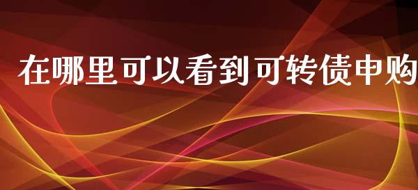 在哪里可以看到可转债申购_https://www.gongyisiwang.com_焦炭期货手续费_第1张