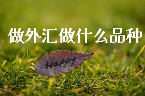 做外汇做什么品种_https://www.gongyisiwang.com_焦炭期货手续费_第1张
