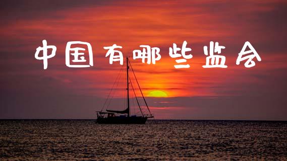中国有哪些监会_https://www.gongyisiwang.com_股指期货交易手续费_第1张