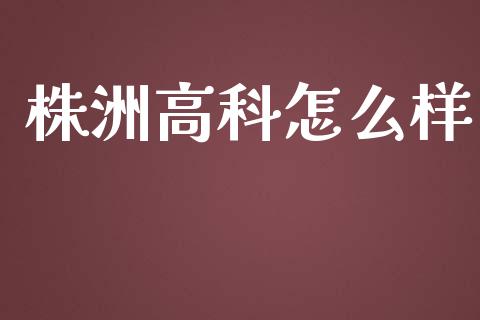 株洲高科怎么样_https://www.gongyisiwang.com_恒指期货_第1张