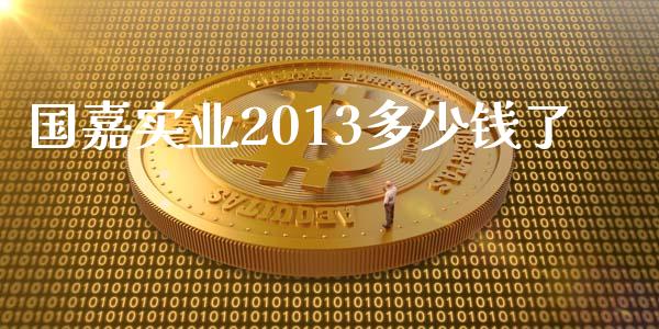 国嘉实业2013多少钱了_https://www.gongyisiwang.com_恒指期货_第1张