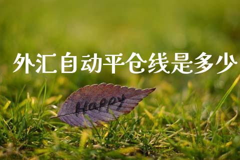 外汇自动平仓线是多少_https://www.gongyisiwang.com_道指_第1张