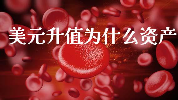 美元升值为什么资产_https://www.gongyisiwang.com_股指期货_第1张