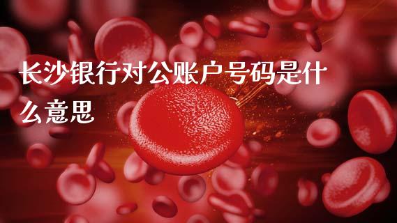 长沙银行对公账户号码是什么意思_https://www.gongyisiwang.com_股指期货交易手续费_第1张