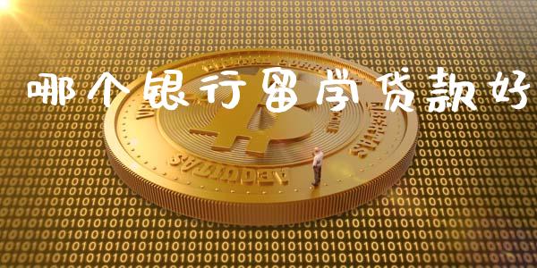 哪个银行留学贷款好_https://www.gongyisiwang.com_道指_第1张