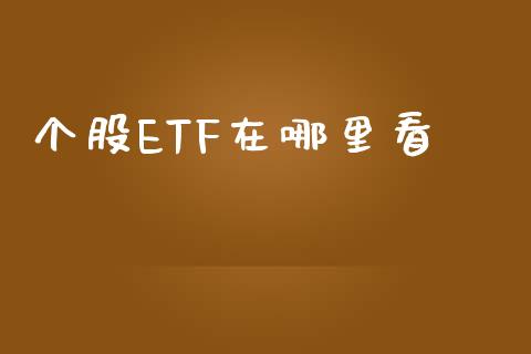 个股ETF在哪里看_https://www.gongyisiwang.com_期货公司手续费排名_第1张