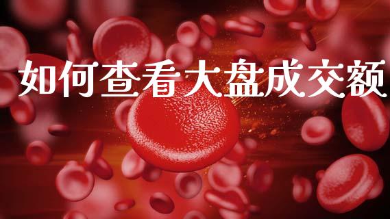 如何查看大盘成交额_https://www.gongyisiwang.com_股指期货_第1张